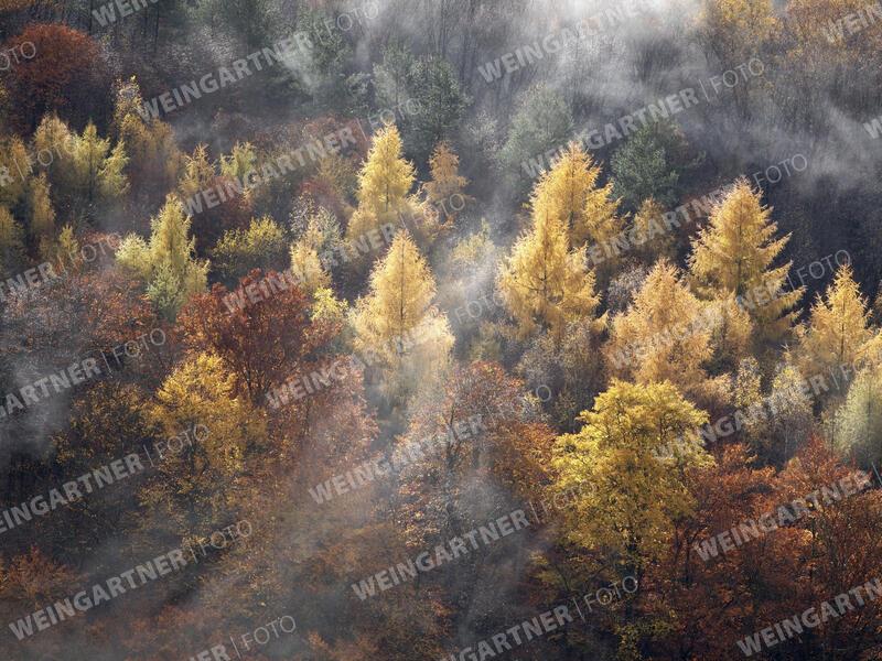 Themenbilder Herbstzeit